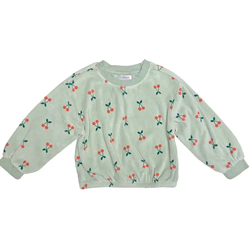 Hanna Andersson Sweatpants & Top Size 3T Green Cherry Print Velour Cotton Blend